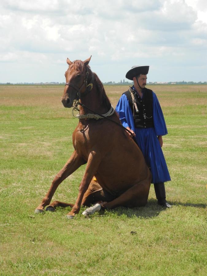 Melody Huis Поросло Экстерьер фото